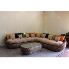 Style populaire Hyacinthe à l&#39;eau Décor de maison intérieure Ensemble de canapé